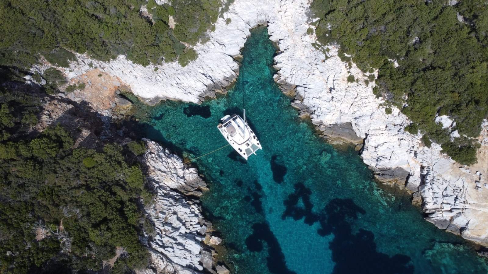 viber_image_2025-04-01_02-07-41-902